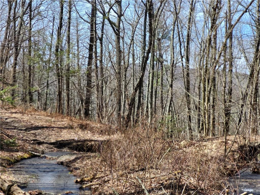 #16 photo, Old Plank Road, Cragsmoor , NY 12420