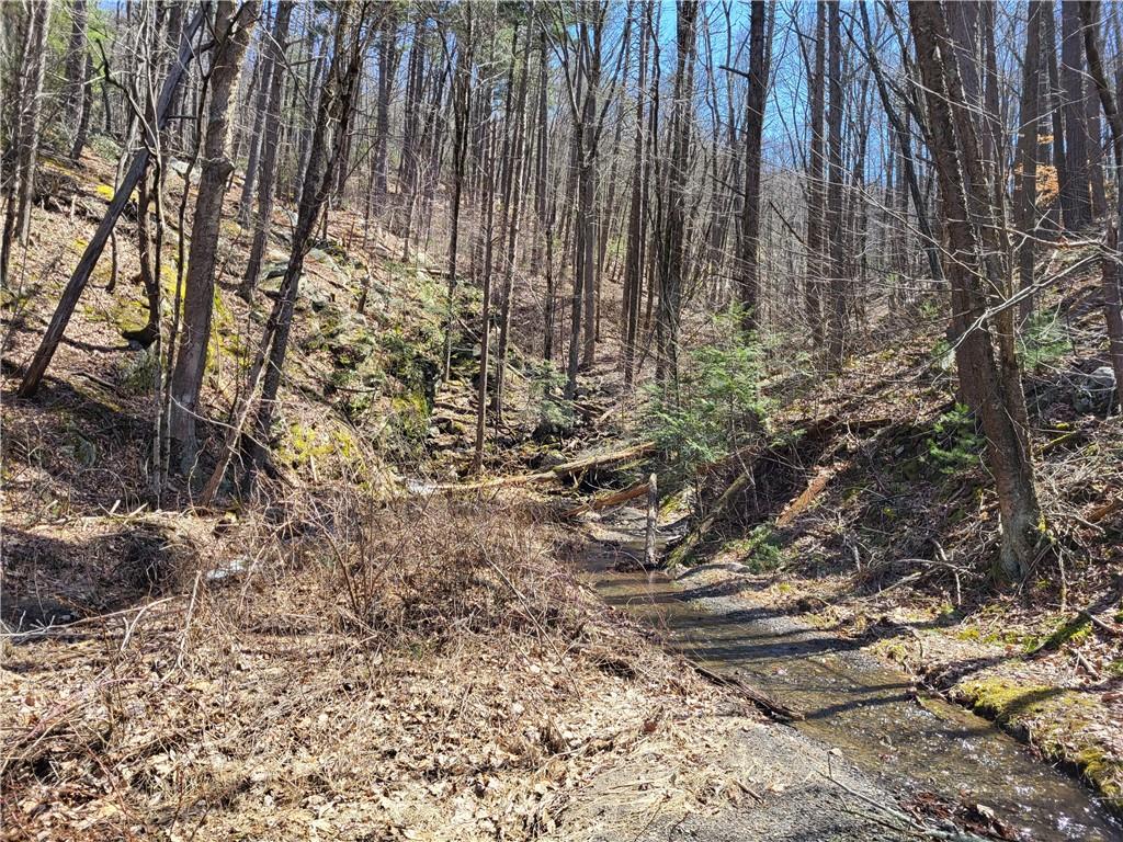 #17 photo, Old Plank Road, Cragsmoor , NY 12420