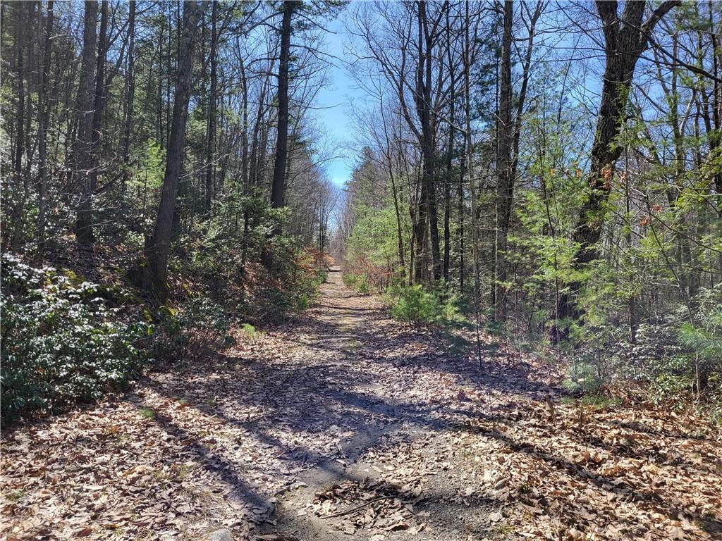 #19 photo, Old Plank Road, Cragsmoor , NY 12420