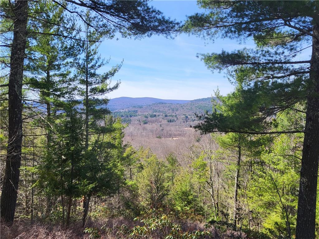 #2 photo, Old Plank Road, Cragsmoor , NY 12420