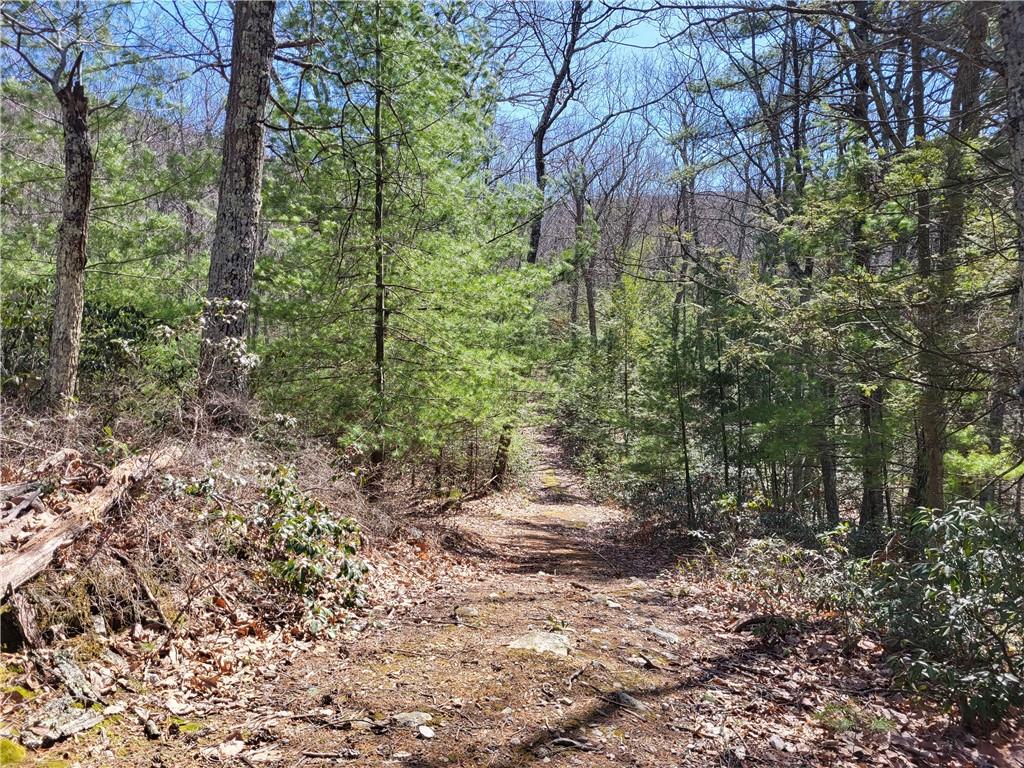 #4 photo, Old Plank Road, Cragsmoor , NY 12420