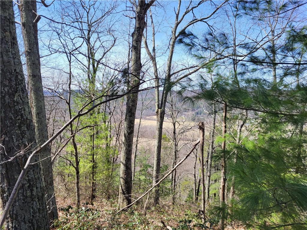 #5 photo, Old Plank Road, Cragsmoor , NY 12420