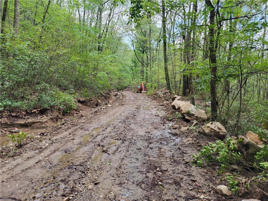 #7 photo, Old Plank Road, Cragsmoor , NY 12420