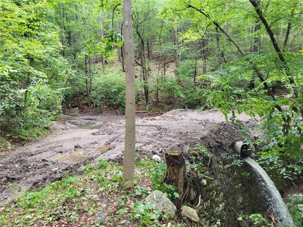 #8 photo, Old Plank Road, Cragsmoor , NY 12420