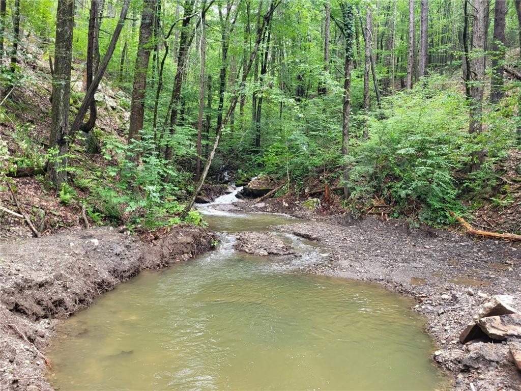 #9 photo, Old Plank Road, Cragsmoor , NY 12420