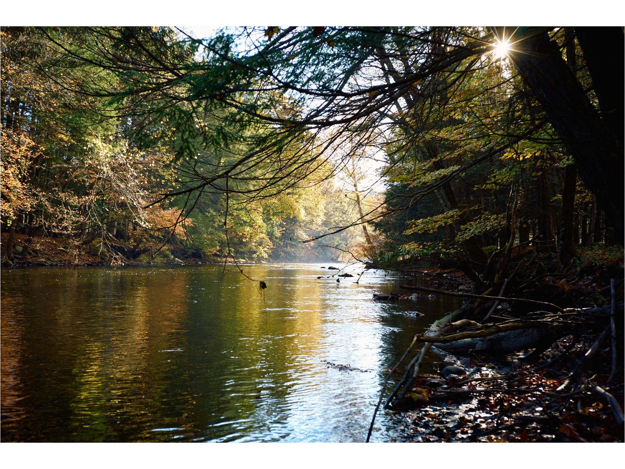 #7 photo, 461 Silvernails Road, Pine Plains , NY 12567