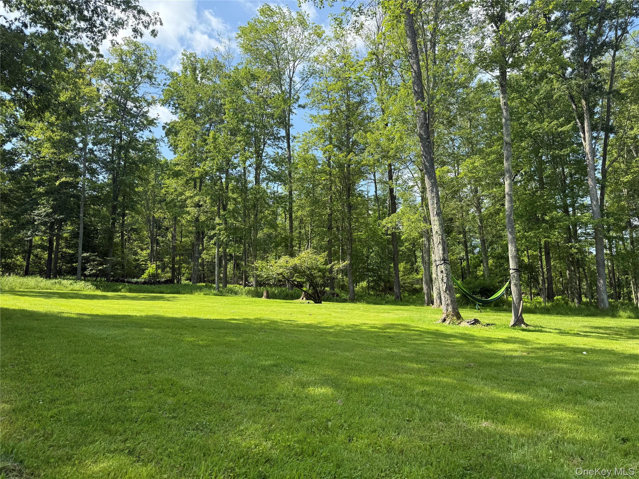 #14 photo, 61 Old Cochecton Road, Narrowsburg , NY 12764