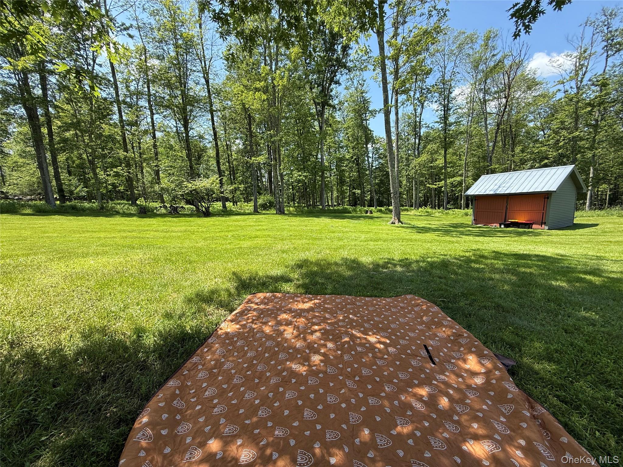 #15 photo, 61 Old Cochecton Road, Narrowsburg , NY 12764
