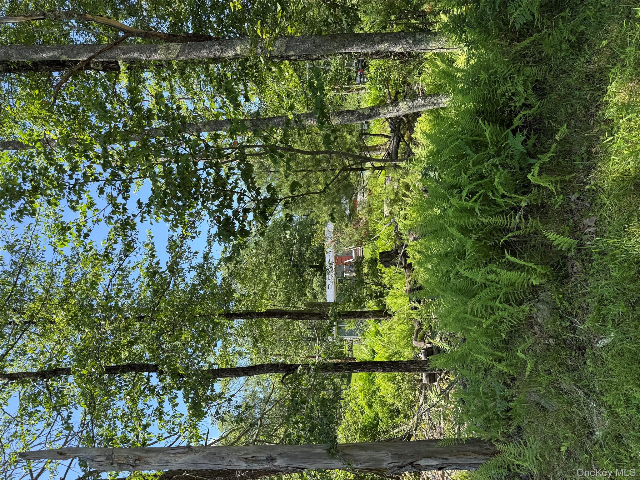 #17 photo, 61 Old Cochecton Road, Narrowsburg , NY 12764