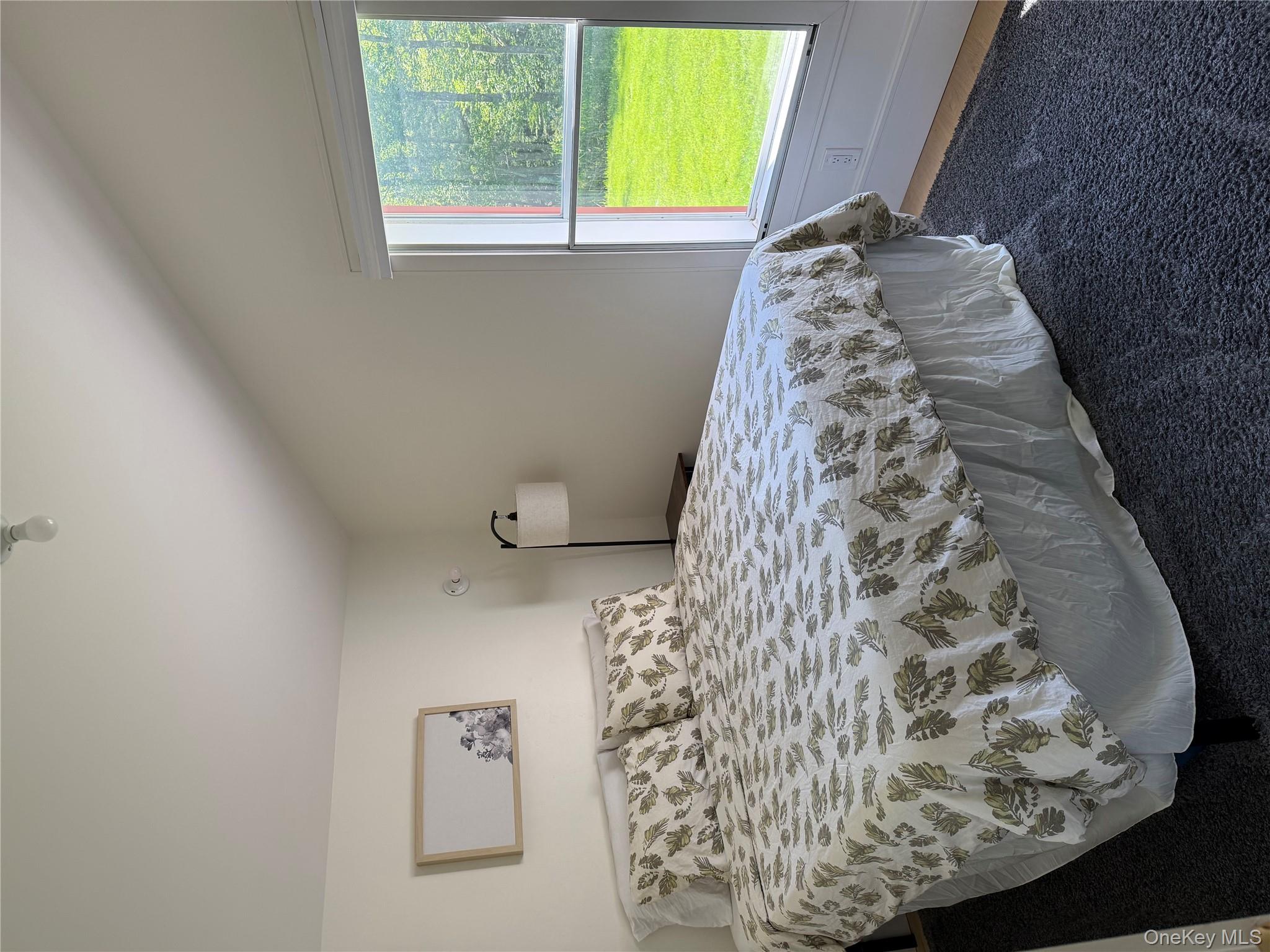 #9 photo, 61 Old Cochecton Road, Narrowsburg , NY 12764