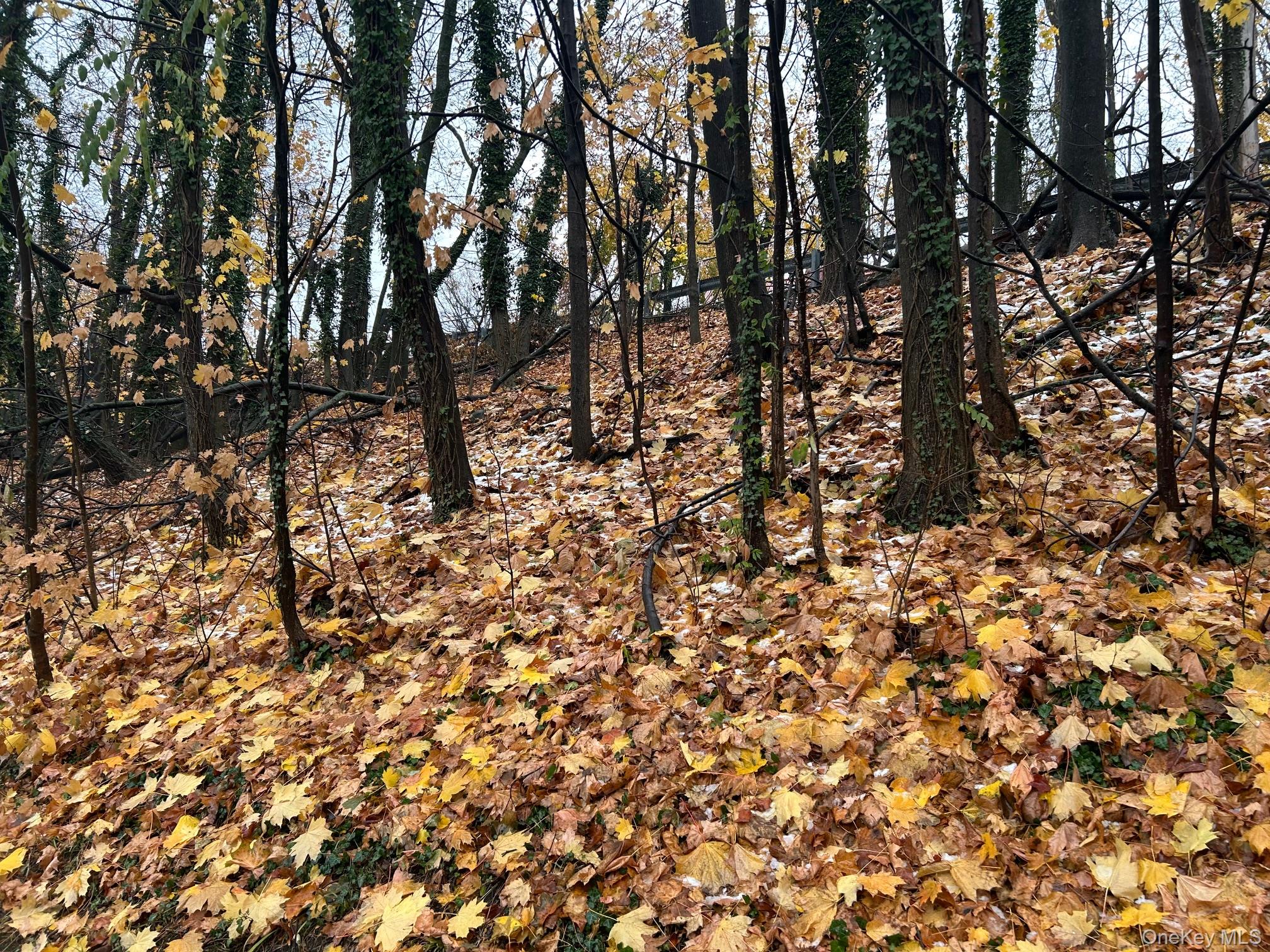 #5 photo, 75 Tate Avenue, Piermont , NY 10968