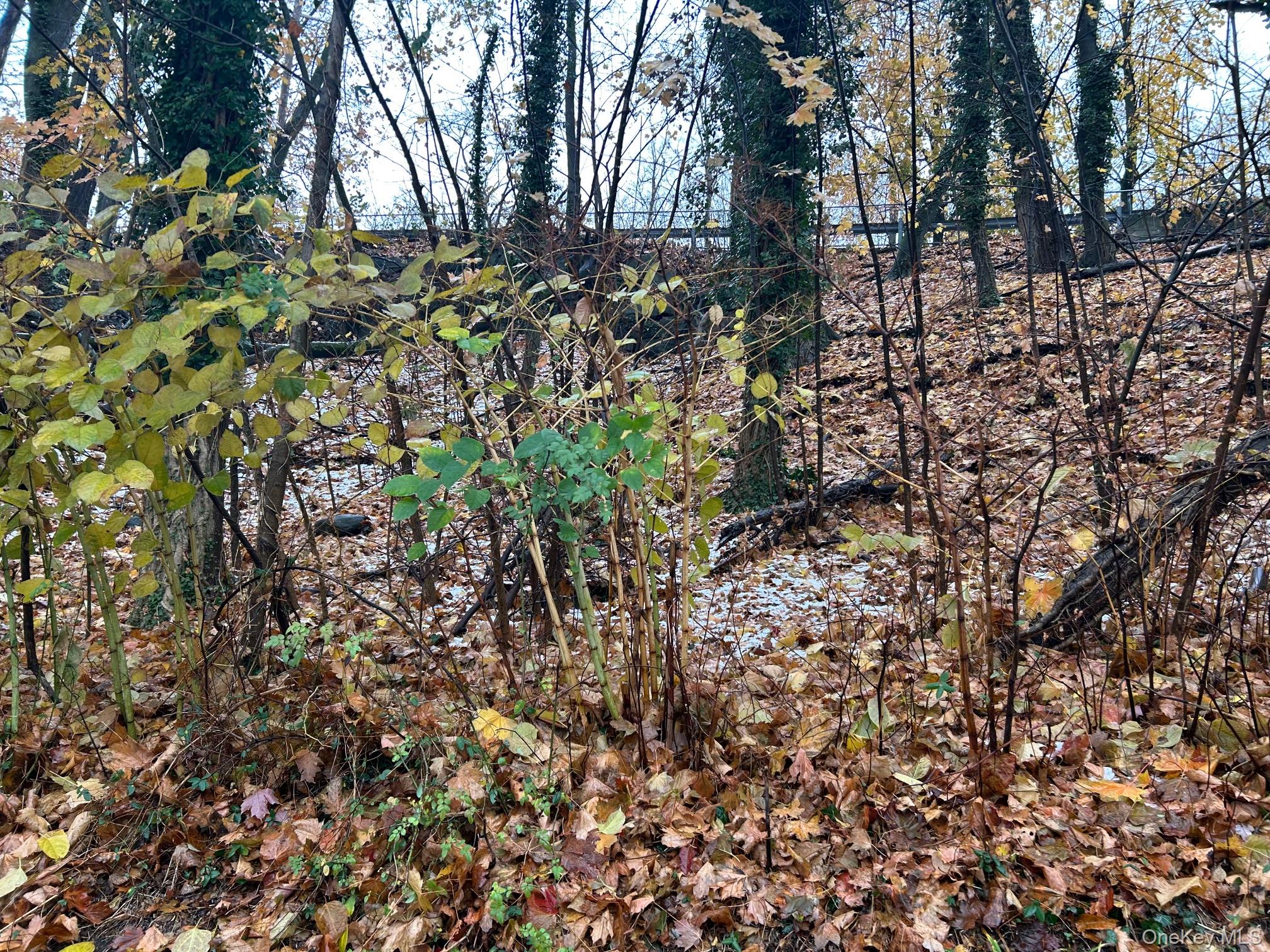 #6 photo, 75 Tate Avenue, Piermont , NY 10968