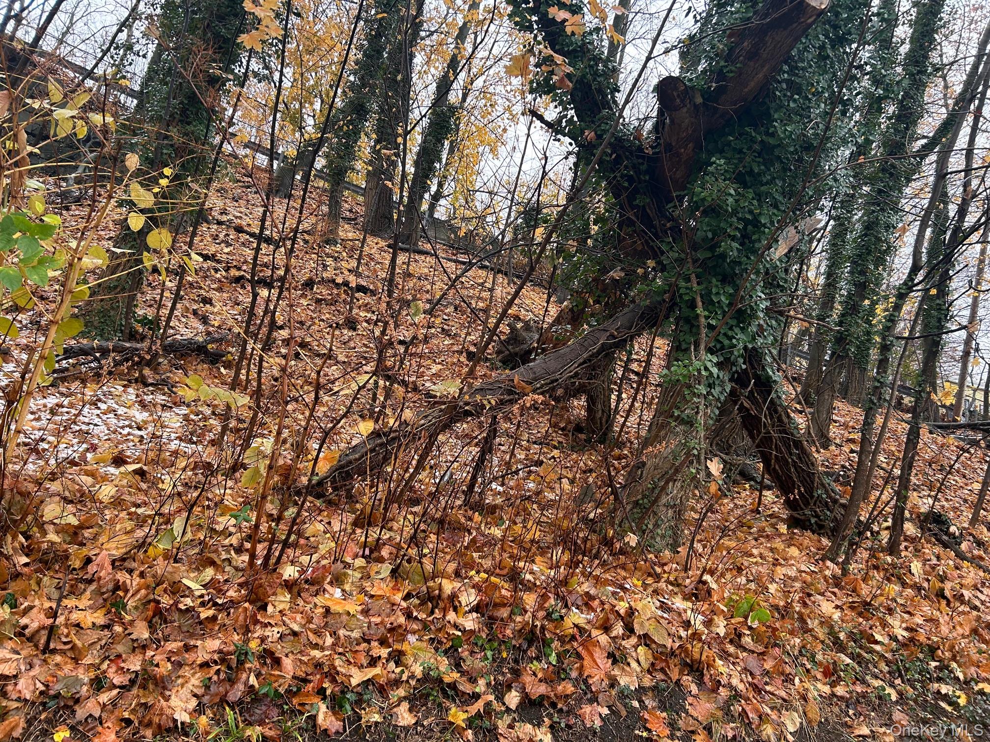 #7 photo, 75 Tate Avenue, Piermont , NY 10968