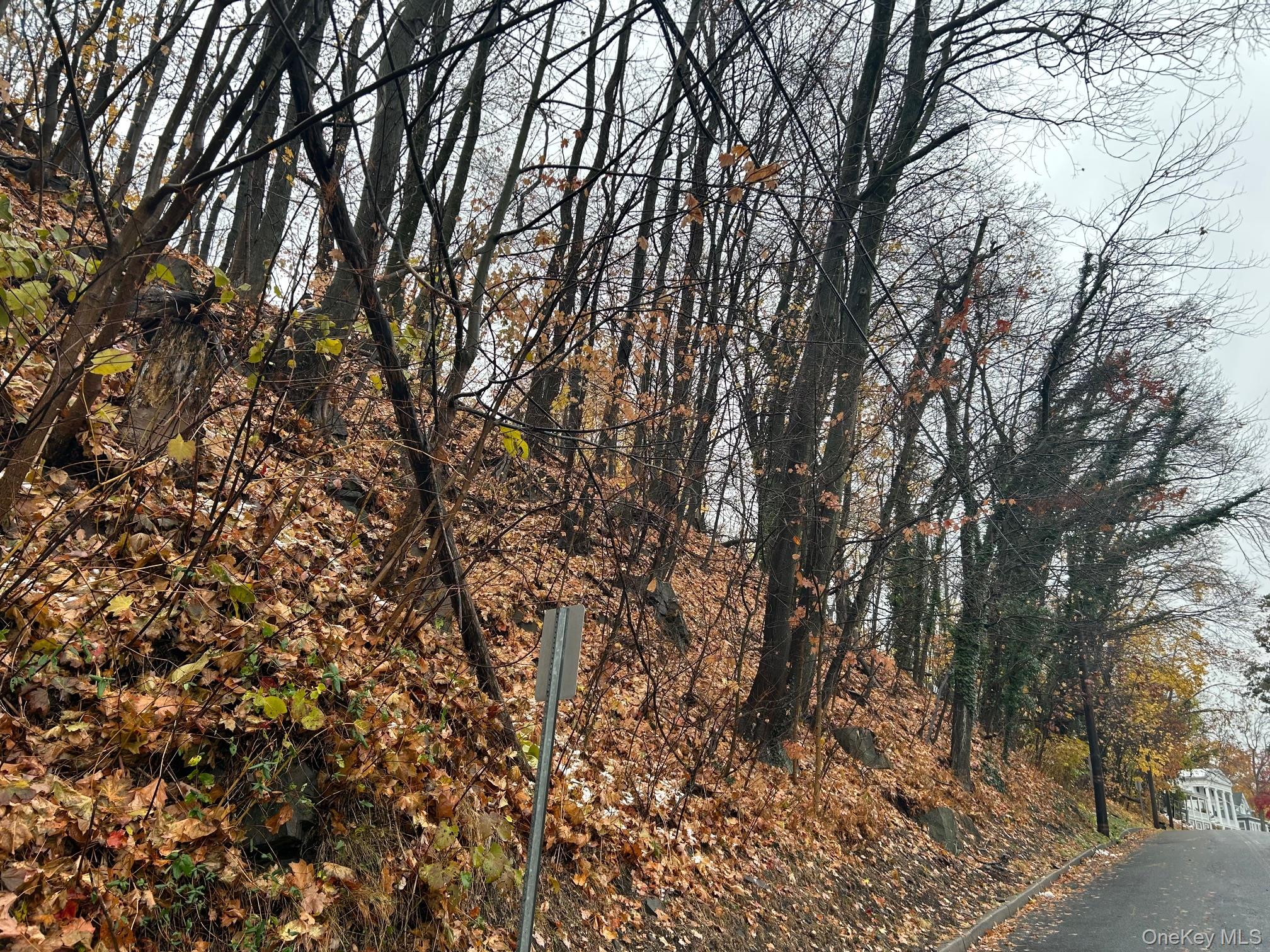 #8 photo, 75 Tate Avenue, Piermont , NY 10968