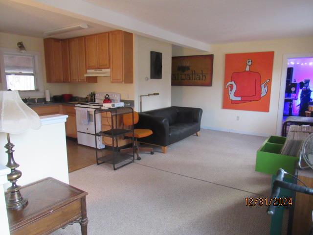 #16 photo, 5926  Rt 9 Route  9, 紐約州 Rhinebeck , NY 12572