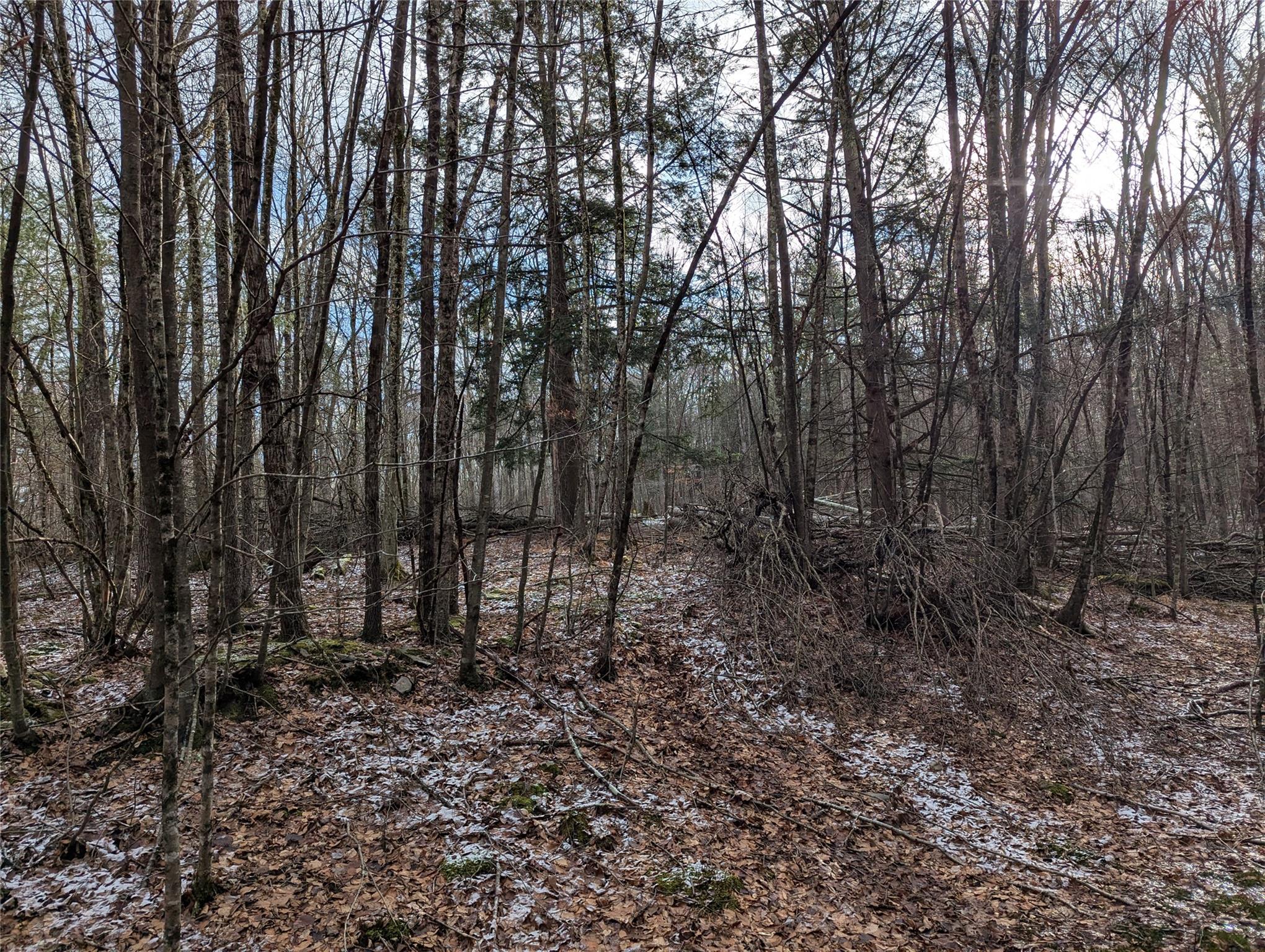 #10 photo, 2 South (Foster) 16.-7-1.10 Trail, Narrowsburg , NY 12764