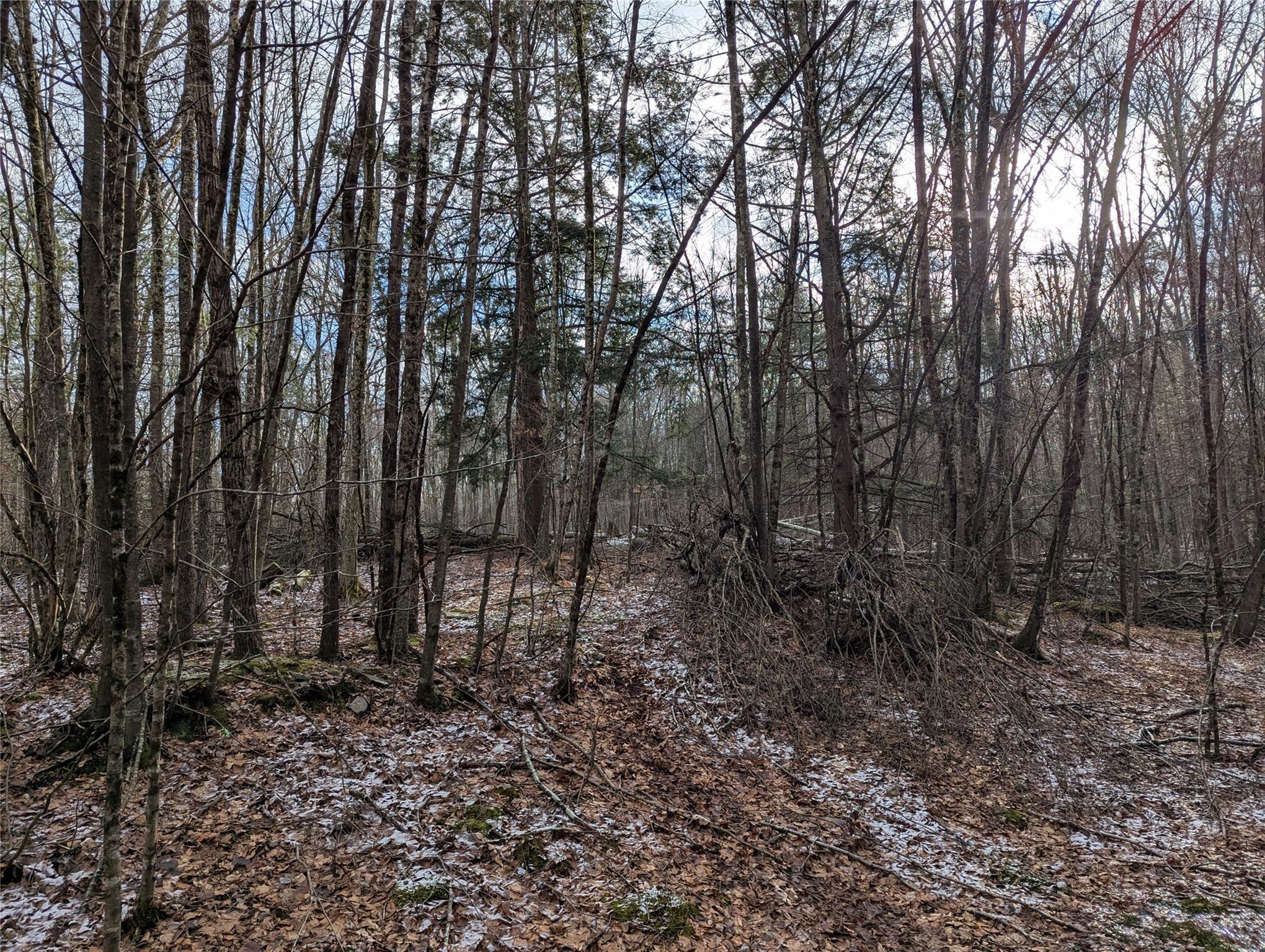 #11 photo, 2 South (Foster) 16.-7-1.10 Trail, Narrowsburg , NY 12764