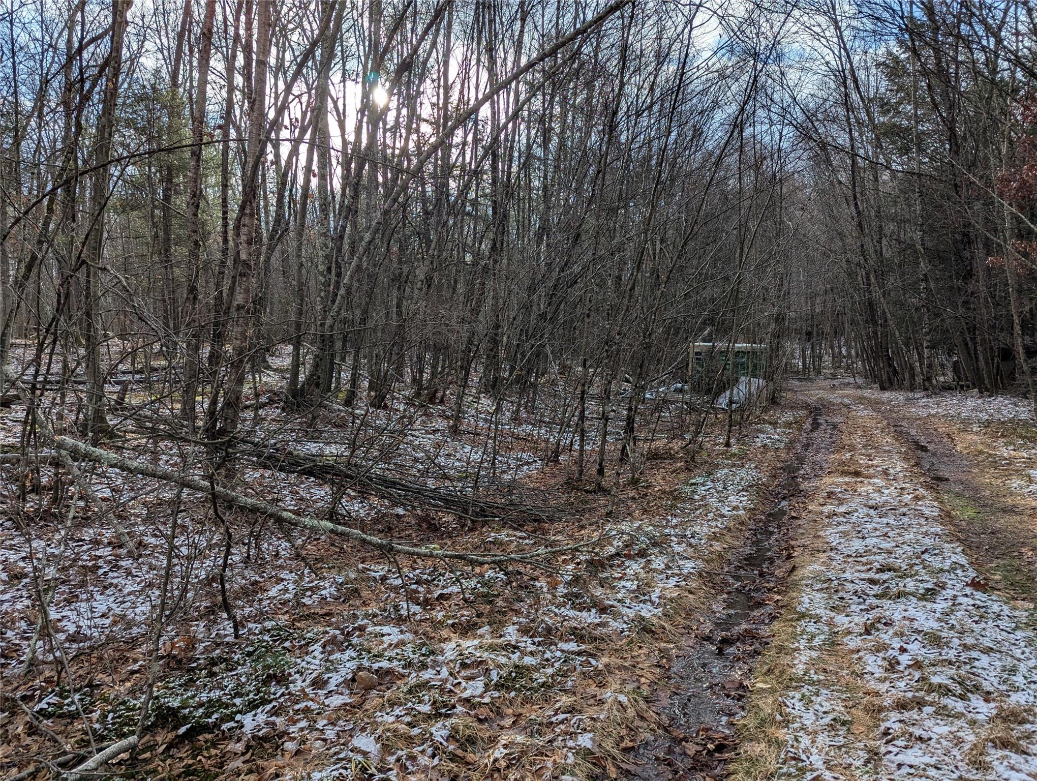 #4 photo, 2 South (Foster) 16.-7-1.10 Trail, Narrowsburg , NY 12764