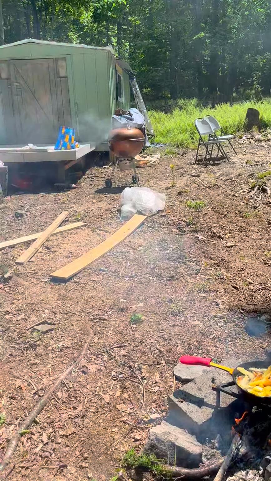 #7 photo, 2 South (Foster) 16.-7-1.10 Trail, Narrowsburg , NY 12764