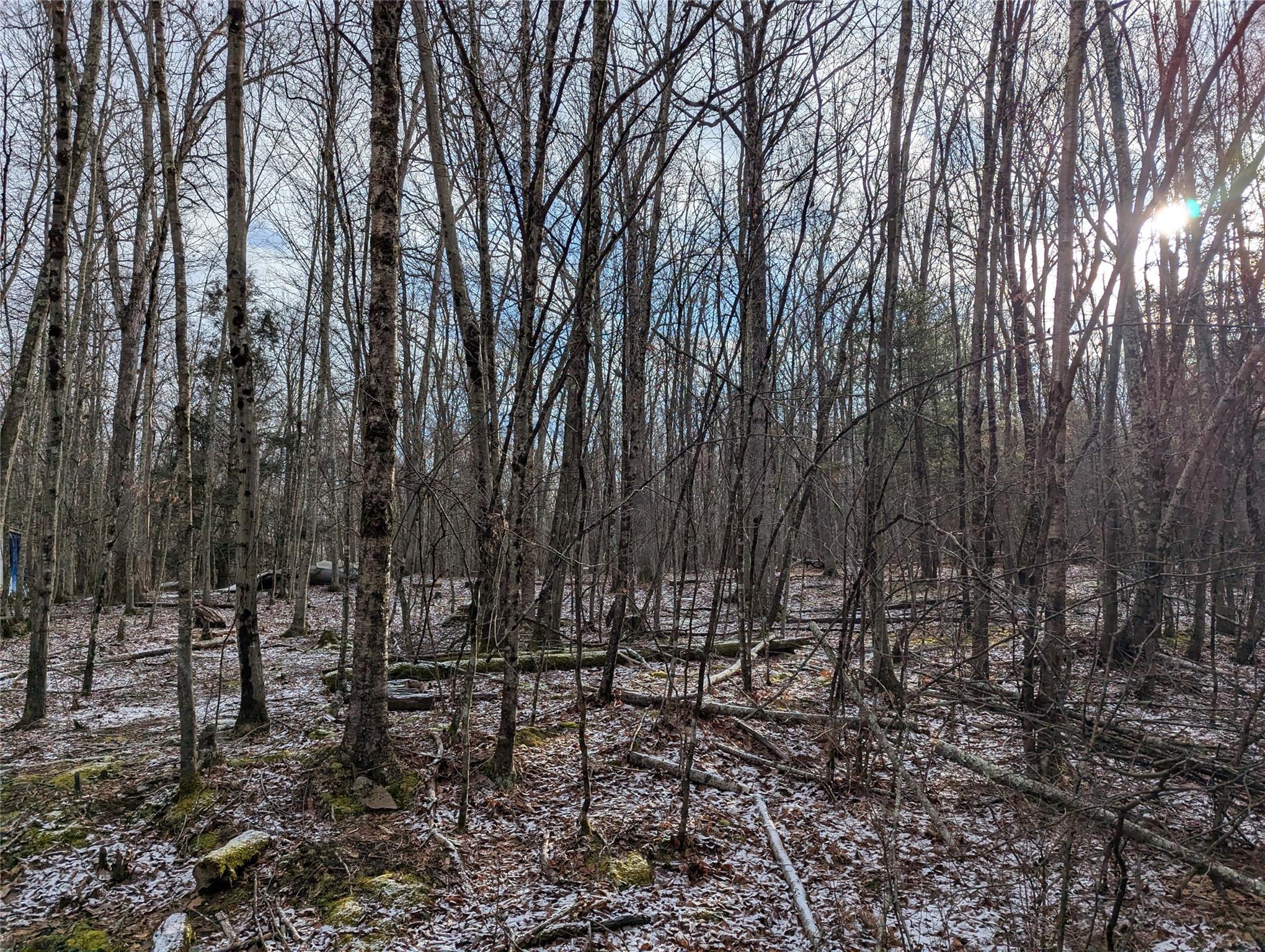 #8 photo, 2 South (Foster) 16.-7-1.10 Trail, Narrowsburg , NY 12764