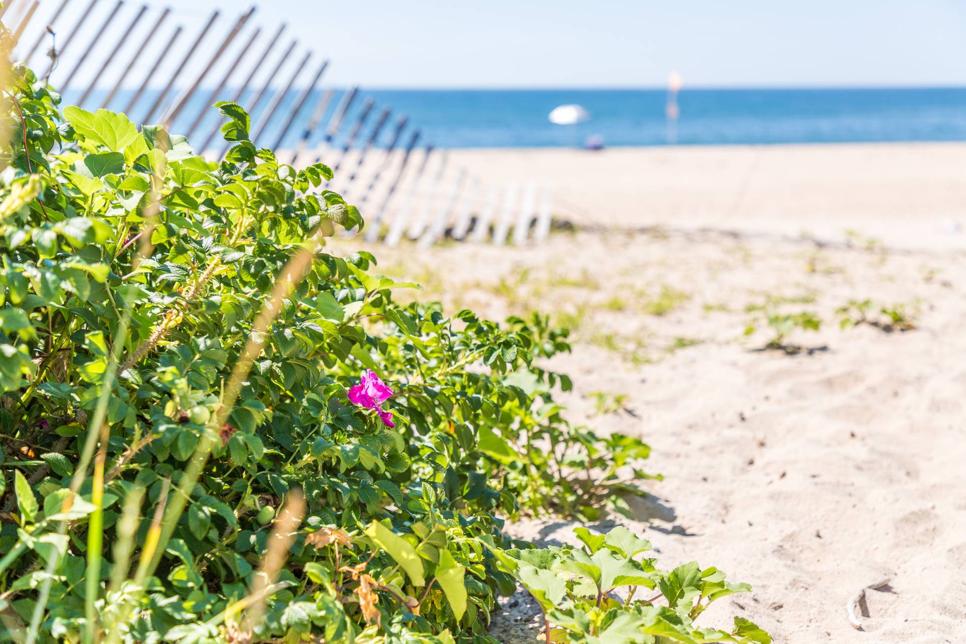 #6 photo, 11 Terry Drive, サフォーク郡 Sag Harbor , NY 11963