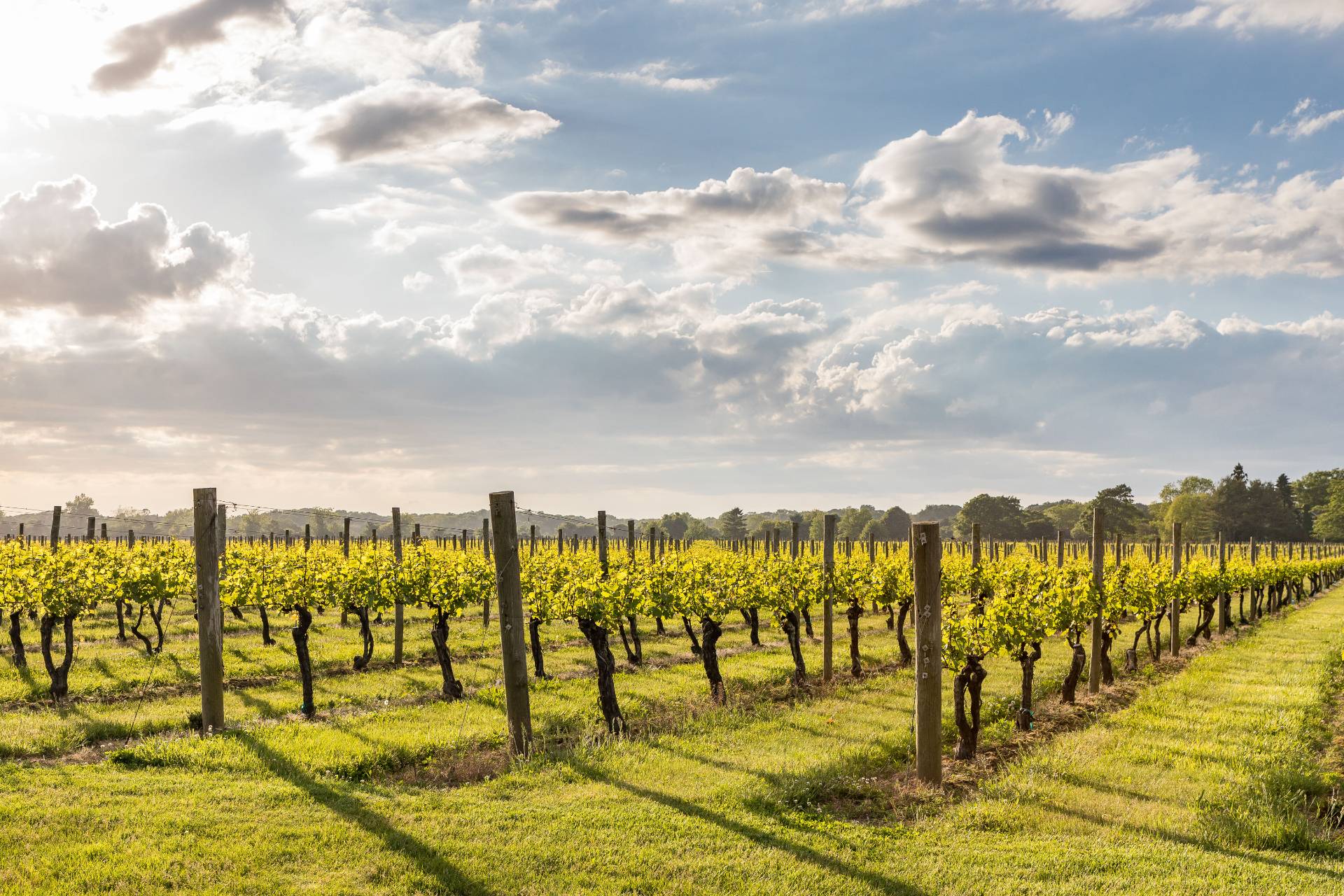 #8 photo, 11 Terry Drive, サフォーク郡 Sag Harbor , NY 11963