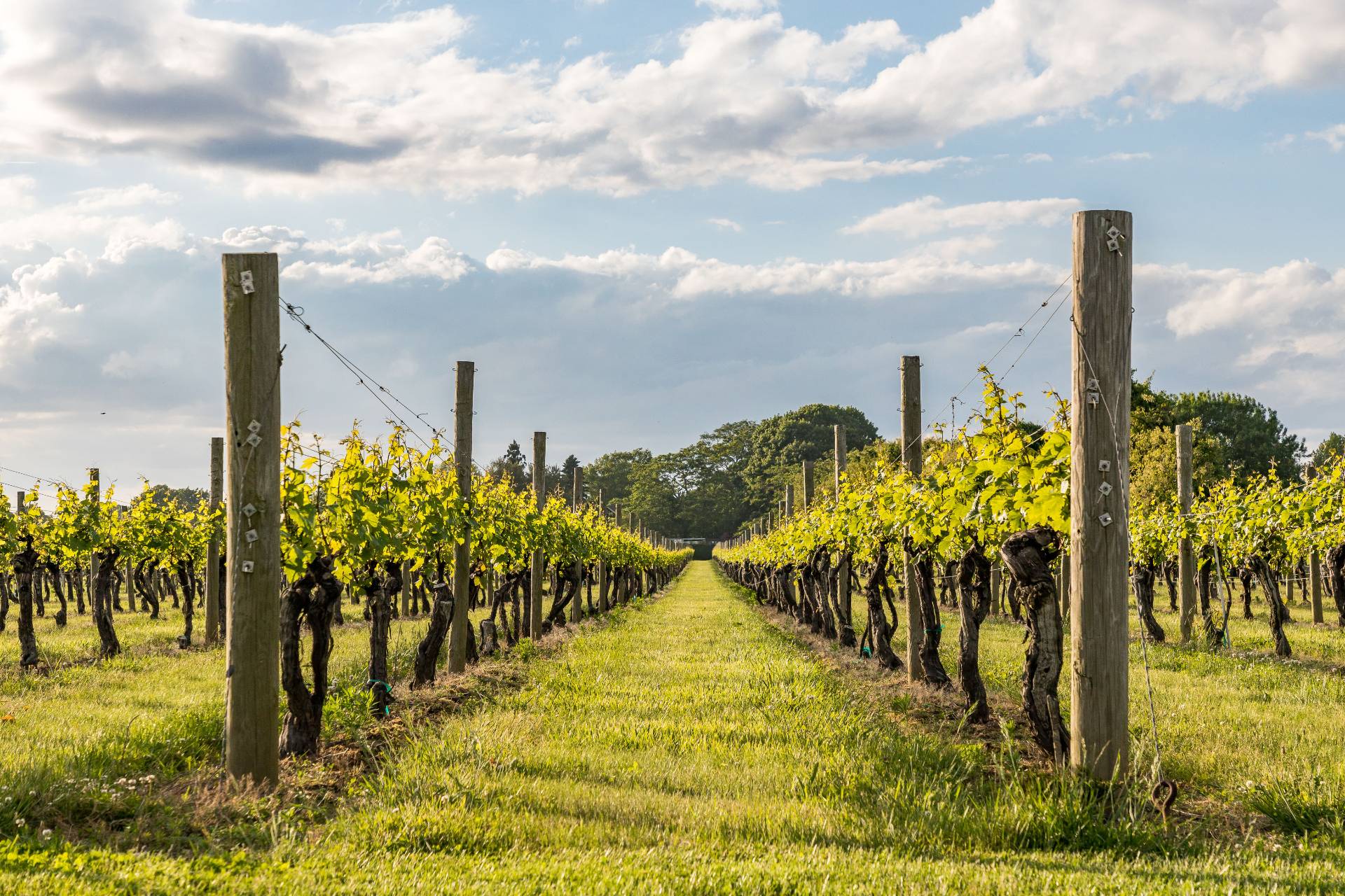 #9 photo, 11 Terry Drive, サフォーク郡 Sag Harbor , NY 11963