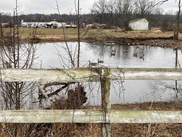 #5 photo, 225 Robinson Lane, Wappingers Falls , NY 12590