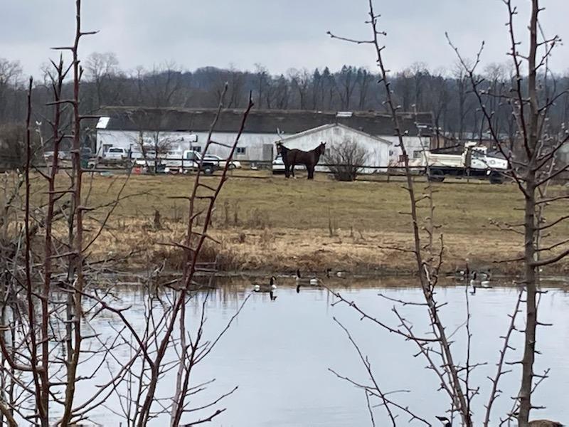 #6 photo, 225 Robinson Lane, Wappingers Falls , NY 12590