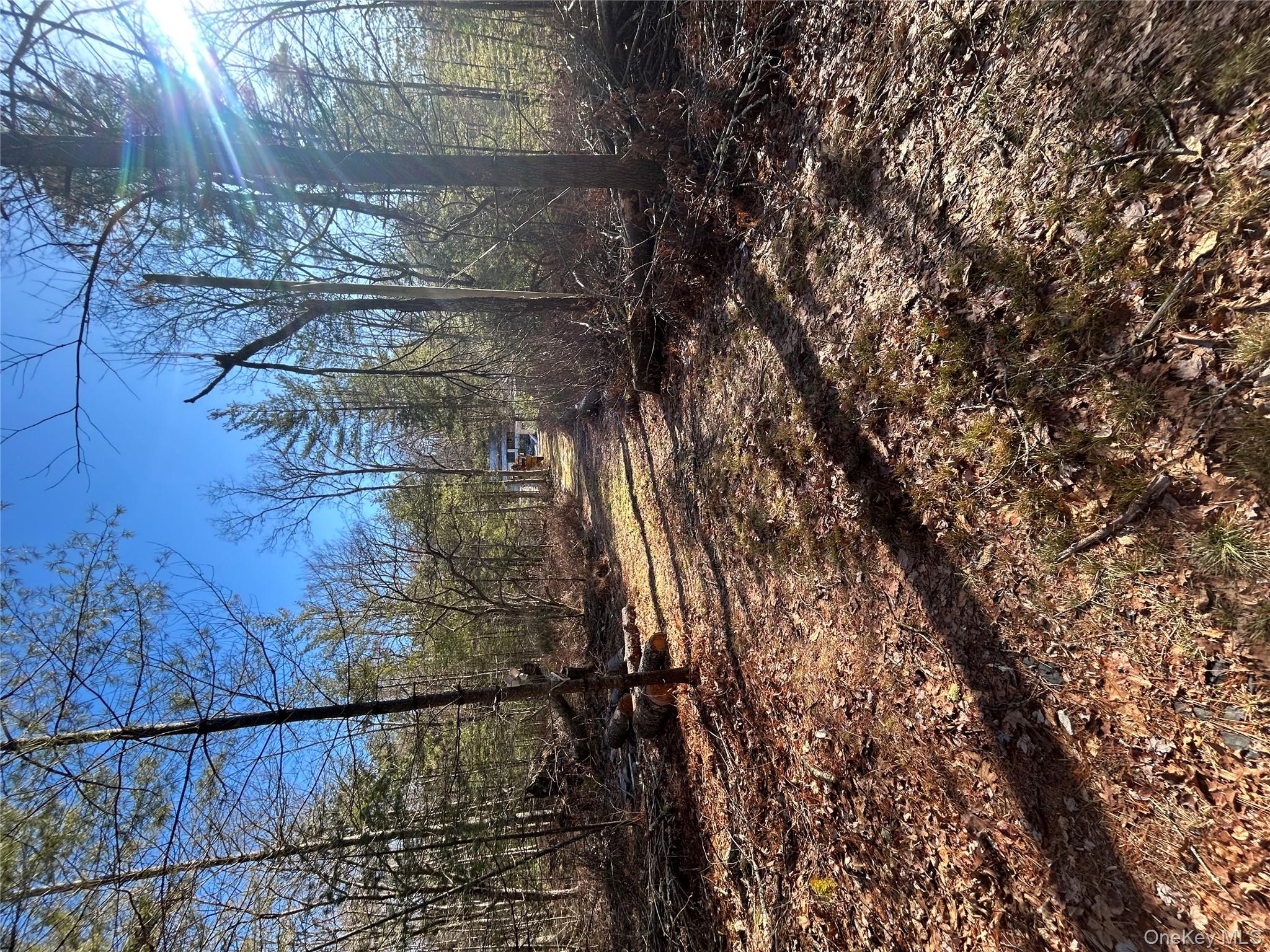 #12 photo, 92 Whitehead Road, Sparrowbush , NY 12780