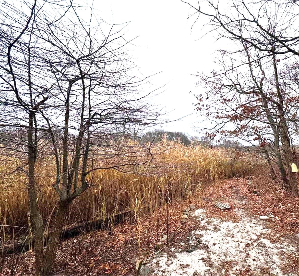 #11 photo, 65 Lake Drive, 东长岛 Southold , NY 11971