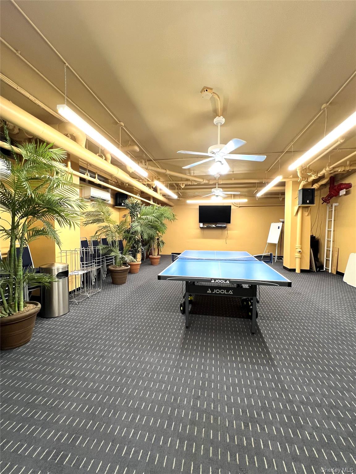 #20 photo, 220-55 46 Avenue, クイーンズ区 Bayside , NY 11362