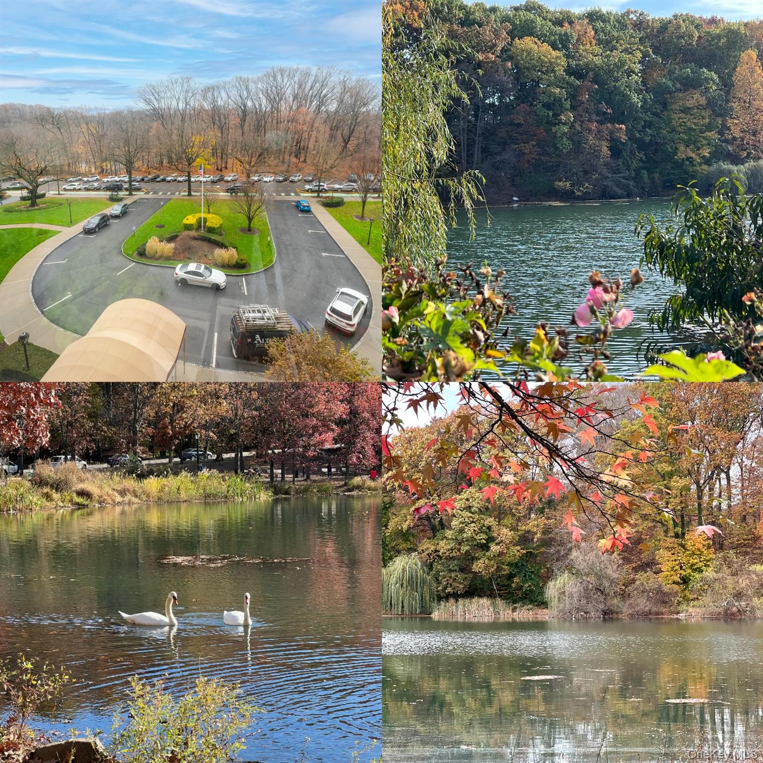 #8 photo, 220-55 46 Avenue, クイーンズ区 Bayside , NY 11362