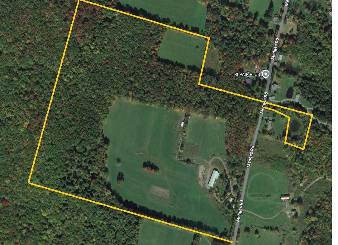 #5 photo, 229 Menges Rd, Livingston Manor , NY 12758