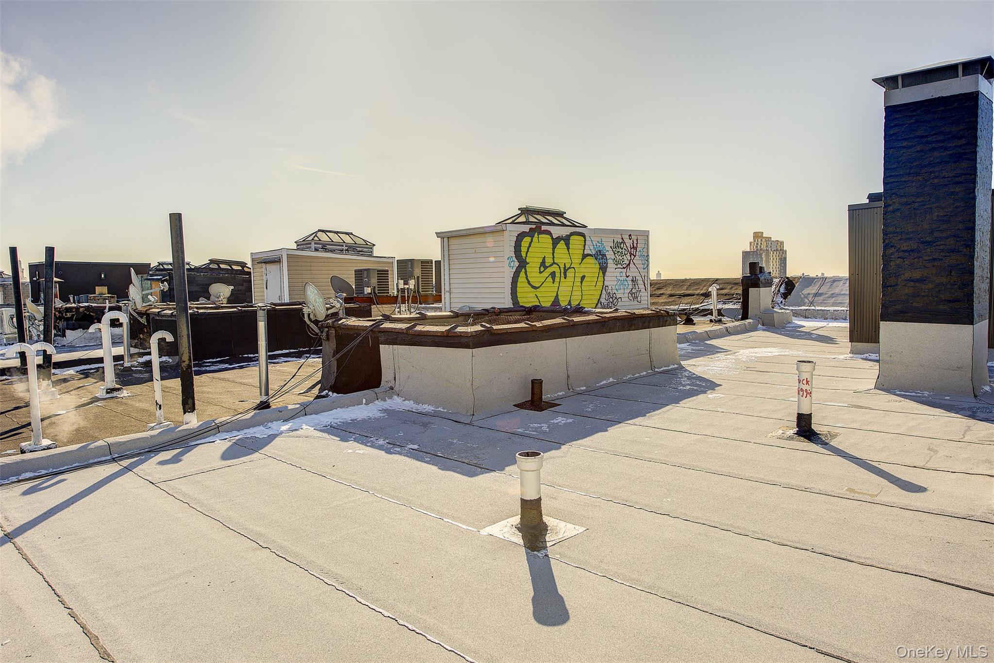 #5 photo, 603 WOODWARD Avenue, クイーンズ区 Ridgewood , NY 11385