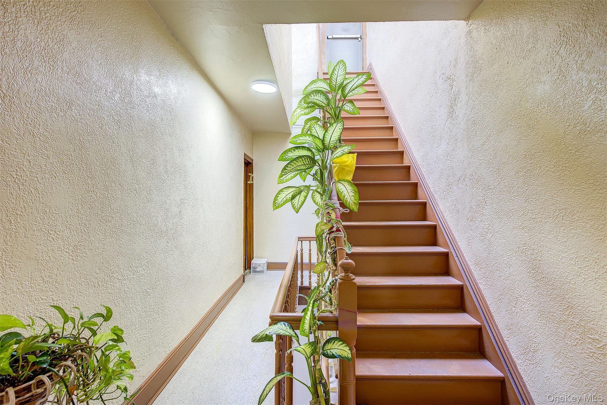 #8 photo, 603 WOODWARD Avenue, クイーンズ区 Ridgewood , NY 11385