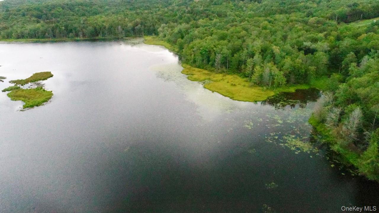 #10 photo, 122 Jaketown Road, Swan Lake , NY 12783