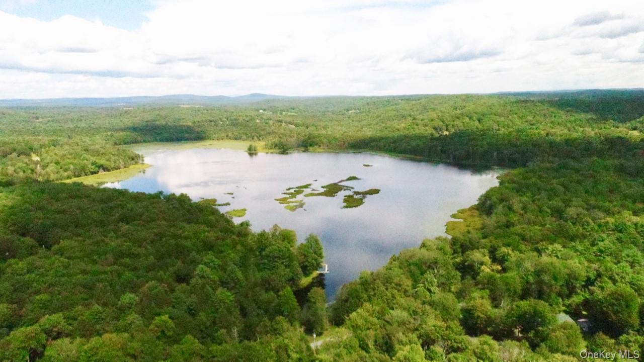 #11 photo, 122 Jaketown Road, Swan Lake , NY 12783