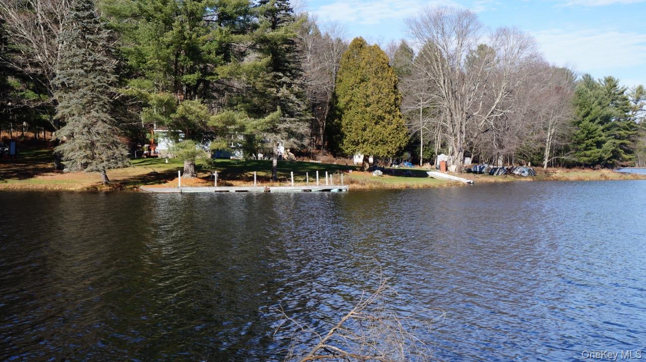 #12 photo, 122 Jaketown Road, Swan Lake , NY 12783