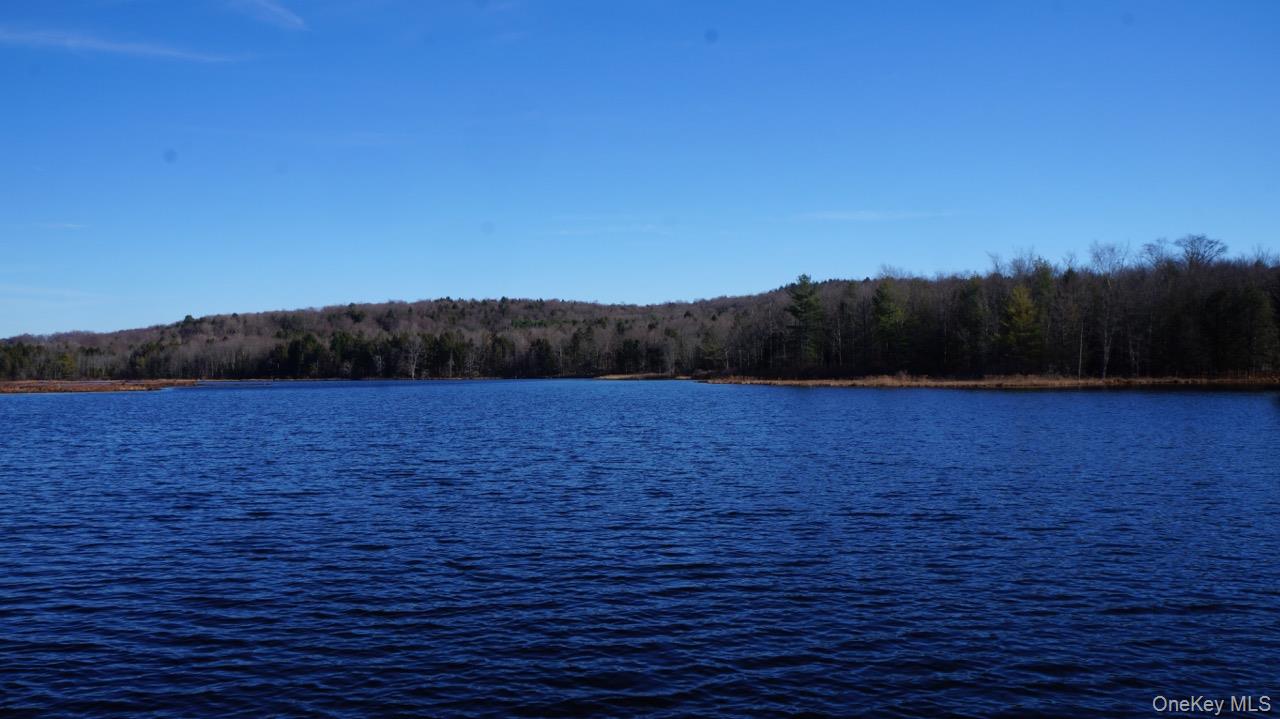 #13 photo, 122 Jaketown Road, Swan Lake , NY 12783