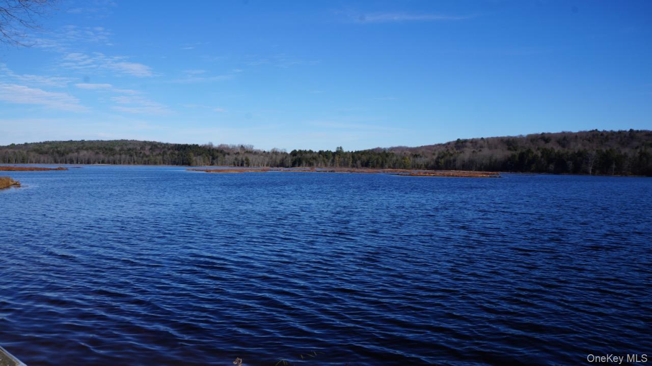 #14 photo, 122 Jaketown Road, Swan Lake , NY 12783