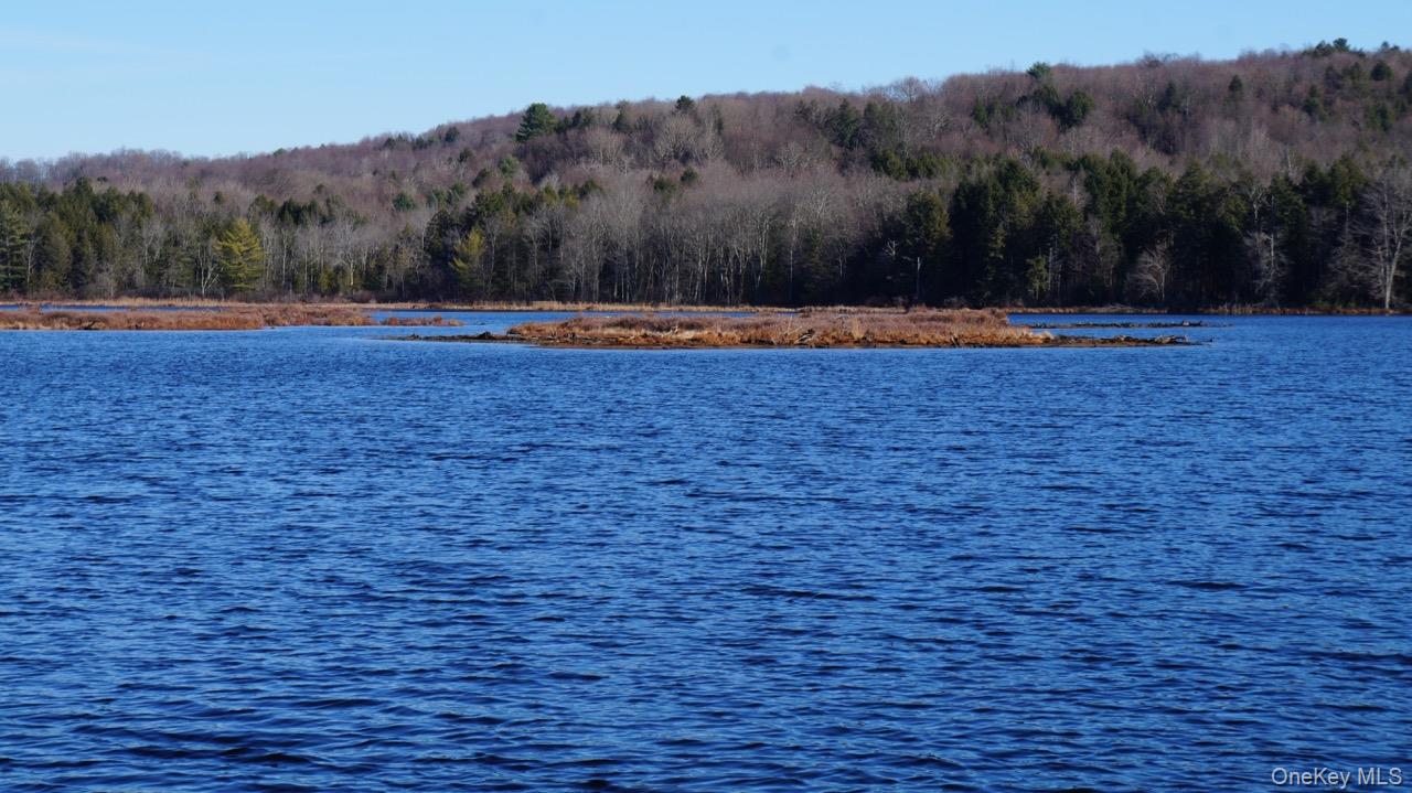 #16 photo, 122 Jaketown Road, Swan Lake , NY 12783