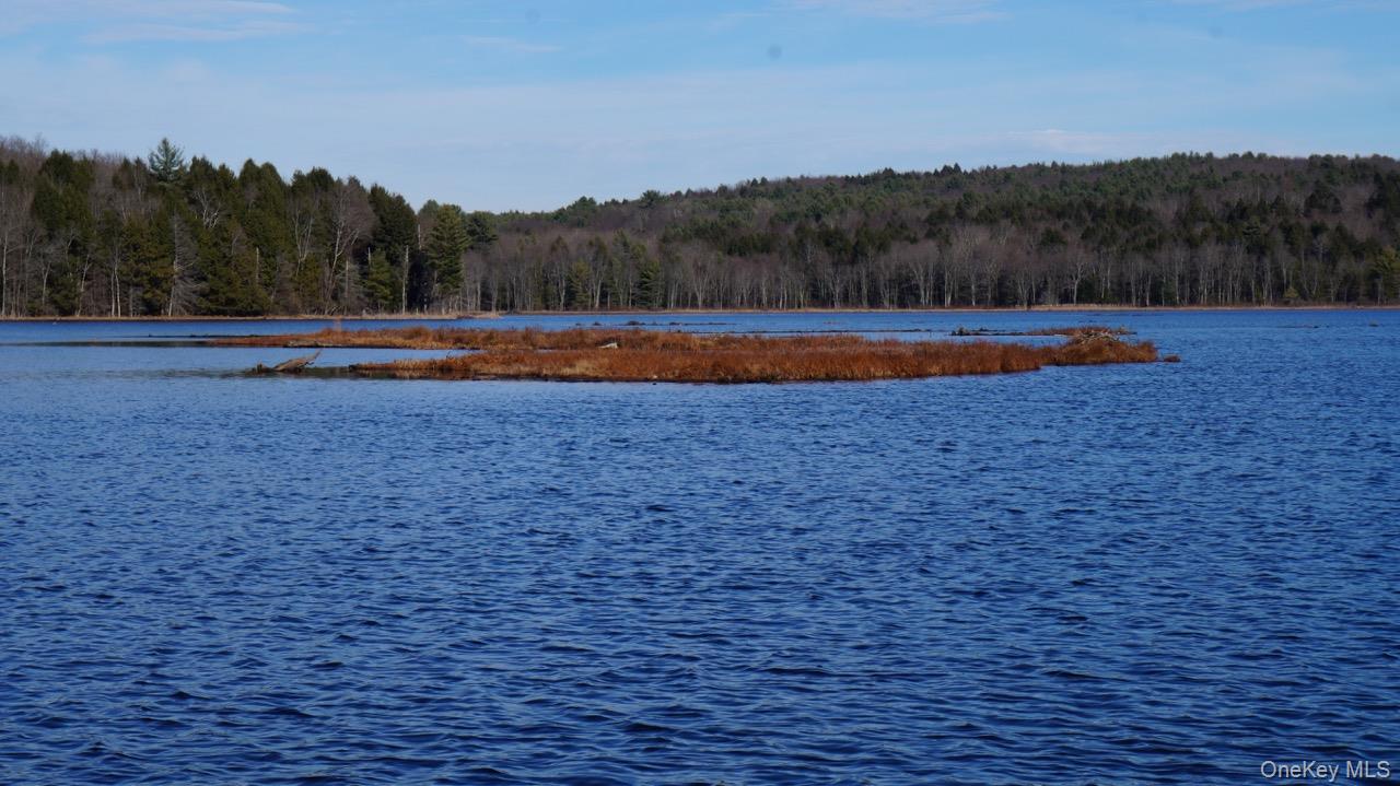 #17 photo, 122 Jaketown Road, Swan Lake , NY 12783