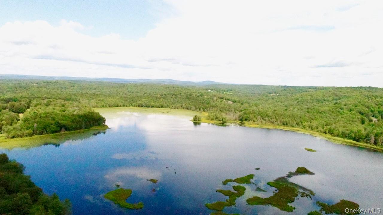 #6 photo, 122 Jaketown Road, Swan Lake , NY 12783