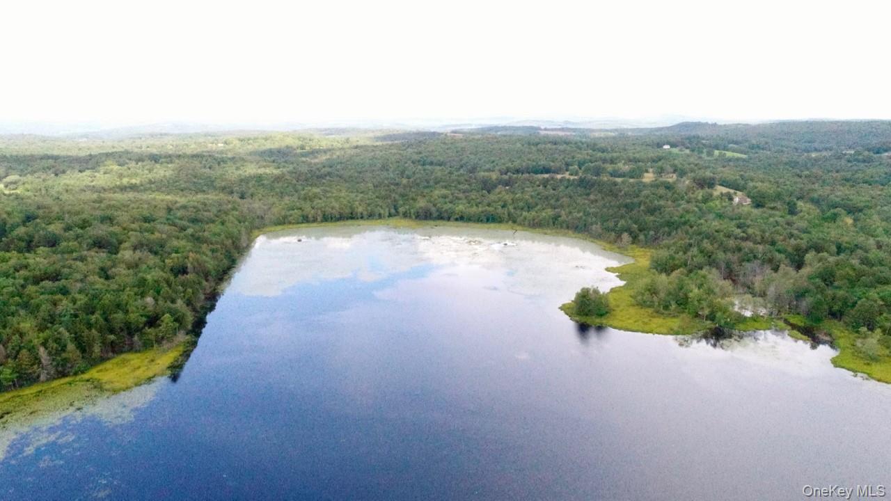 #7 photo, 122 Jaketown Road, Swan Lake , NY 12783