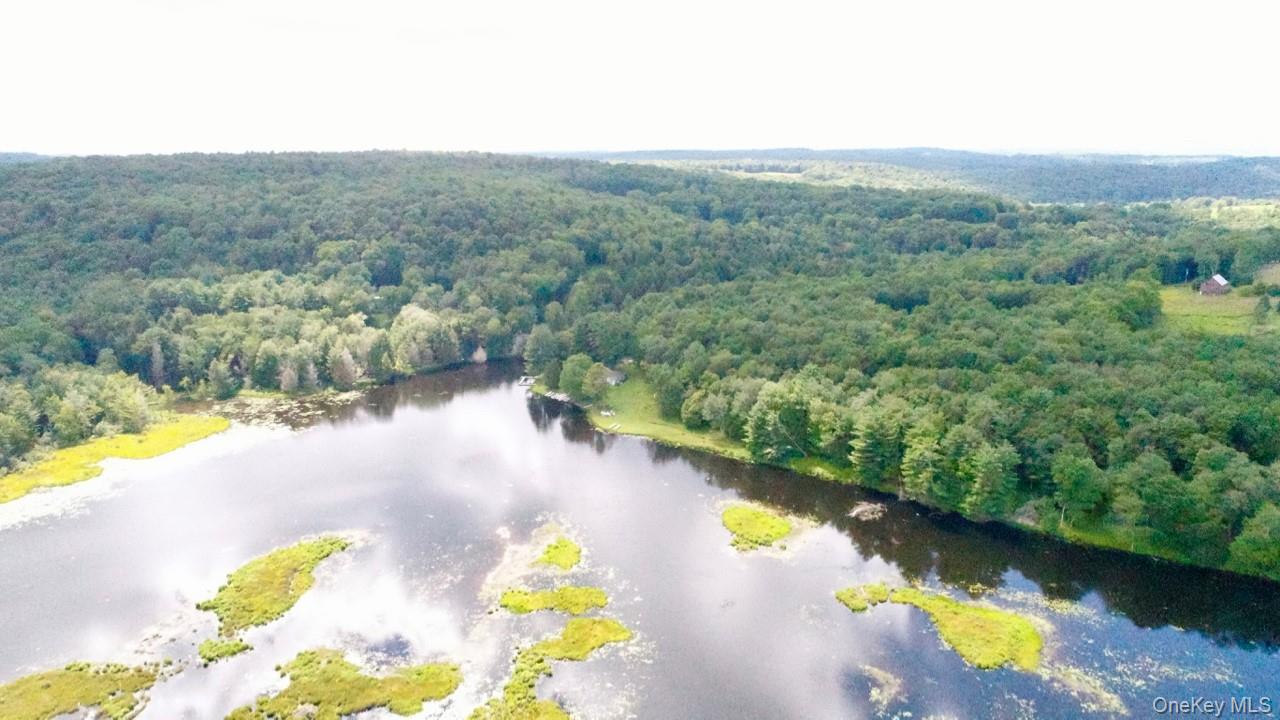 #8 photo, 122 Jaketown Road, Swan Lake , NY 12783