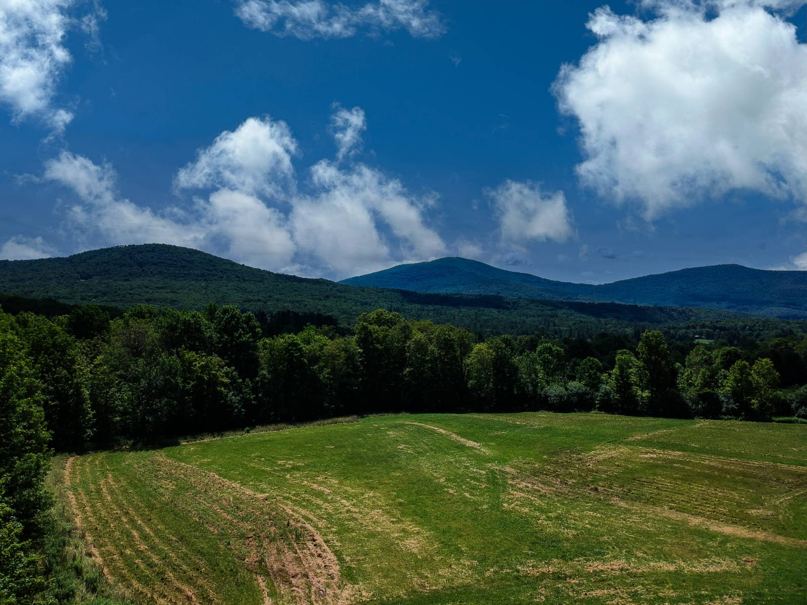 #41 photo, 214 Taylor Rd, Stamford , NY 12167