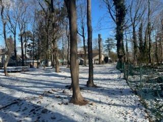 #5 photo, spruce Street, サフォーク郡 Brentwood , NY 