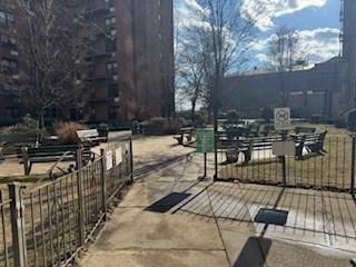 #16 photo, 814 Tilden Street, ブロンクス区 Bronx , NY 10467