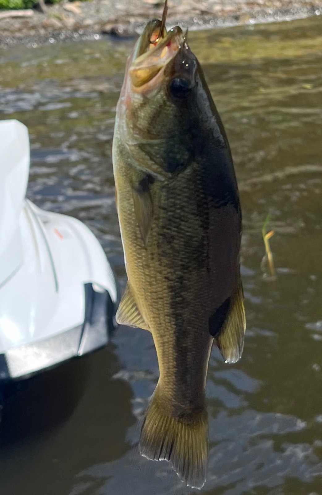 #40 photo, 286 Lakeview Drive Road, Highland Lake , NY 12743